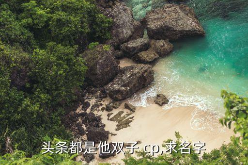 头条都是他双子 cp,求名字