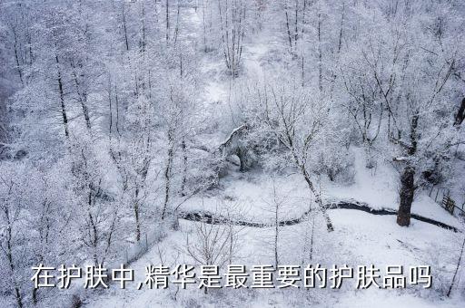 化妆品中什么最重要