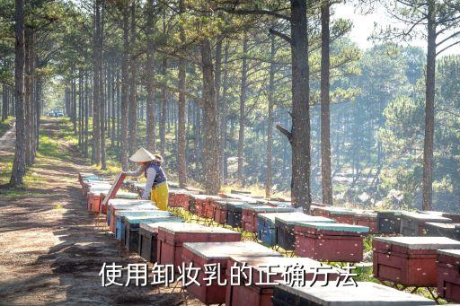 使用卸妆乳的正确方法