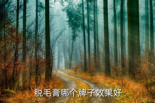  脱毛膏哪个牌子效果好