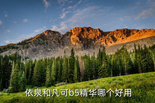 依泉什么比较好,贝德玛和依泉什么关系