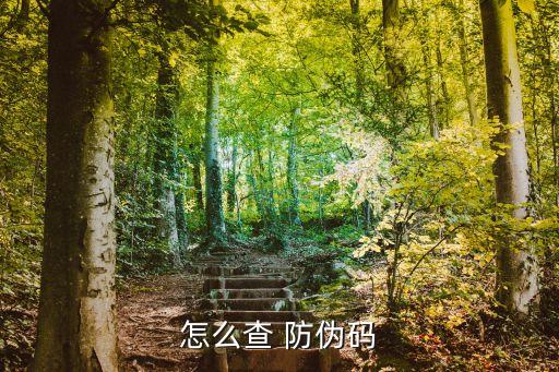 怎么查 防伪码