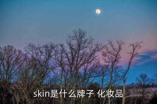 skin是什么牌子 化妆品
