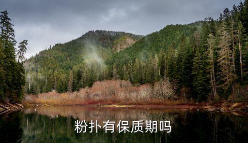 粉扑有保质期吗