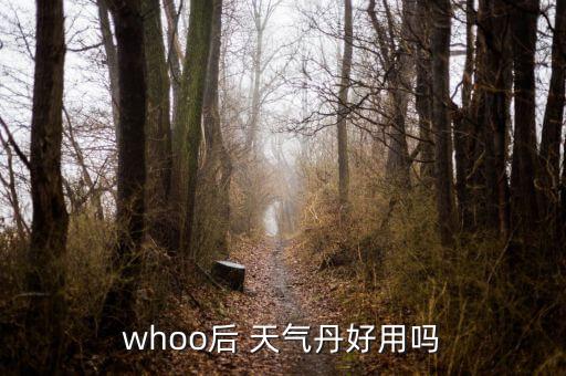 后的天气丹隔离怎么样,天气丹化妆品怎么样