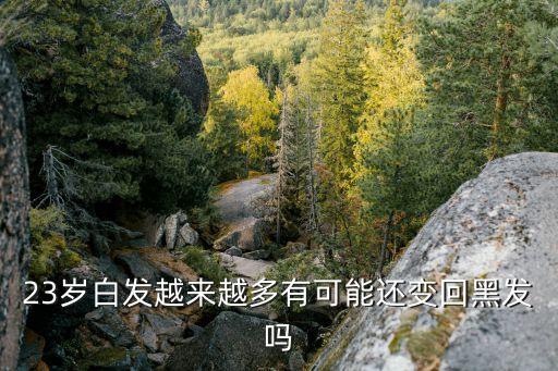 23岁白发越来越多有可能还变回黑发吗