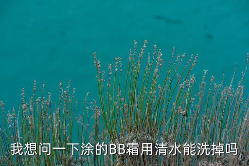 我想问一下涂的BB霜用清水能洗掉吗