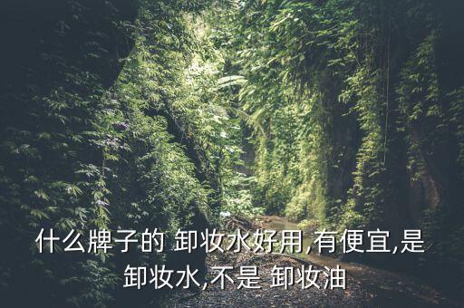 什么牌子的 卸妆水好用,有便宜,是 卸妆水,不是 卸妆油