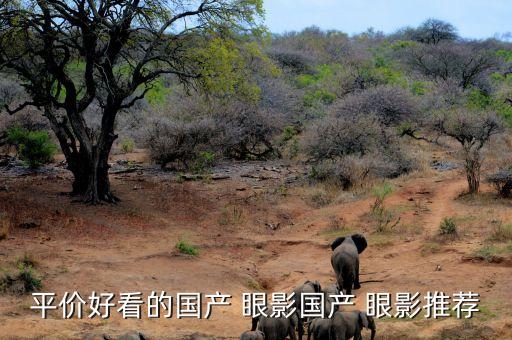 中国眼影什么牌子好,眼影什么牌子好性价比高