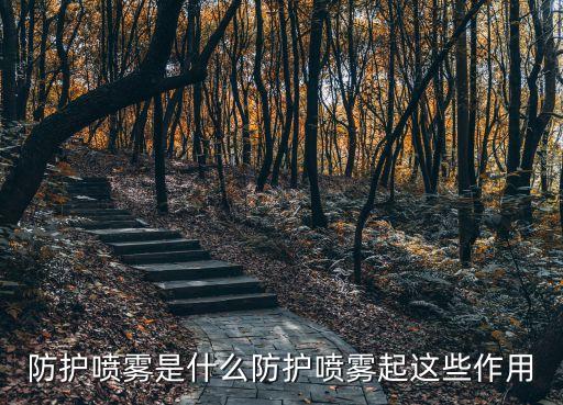 隔离喷雾水是什么,隔离喷雾怎么用?先用隔离还是喷雾水