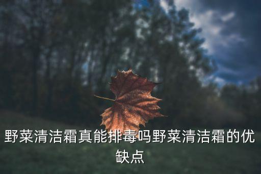野菜套装化妆品怎么样,野菜洗面奶真能排毒吗?