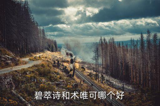 碧萃诗和术唯可哪个好