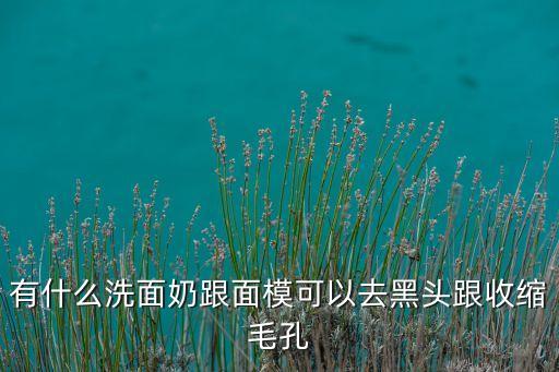 有什么洗面奶跟面模可以去黑头跟收缩毛孔
