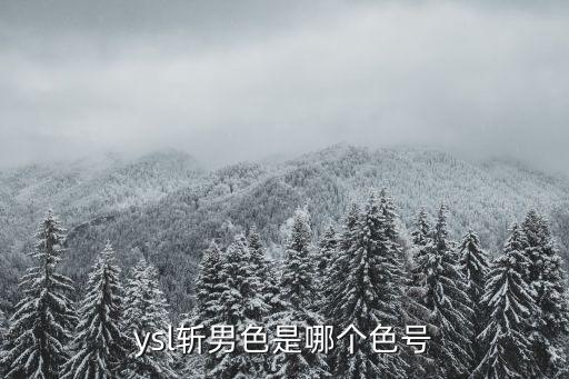 ysl斩男色是哪个色号