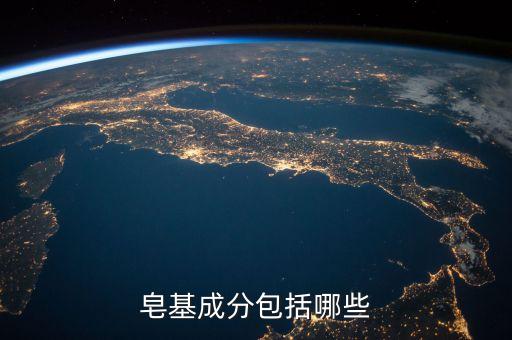 皂基成分包括哪些