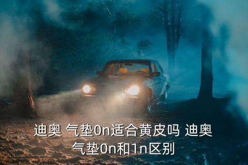  迪奥 气垫0n适合黄皮吗 迪奥 气垫0n和1n区别