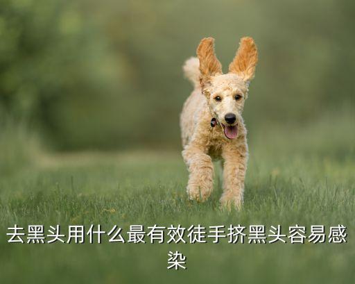 去黑头用什么最有效徒手挤黑头容易感染