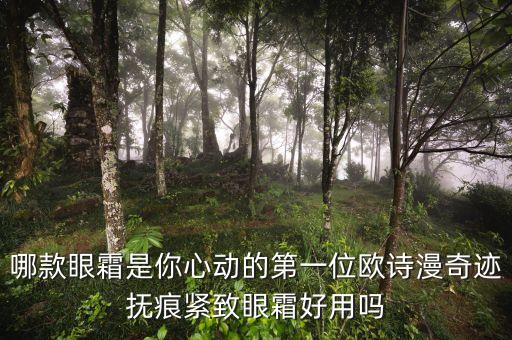 欧斯曼走珠眼霜怎么样,看看欧诗漫珍源澈润保湿眼霜怎么样!