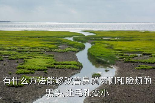 有什么方法能够改善鼻翼两侧和脸颊的黑头,让毛孔变小
