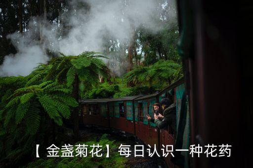 【 金盏菊花】每日认识一种花药