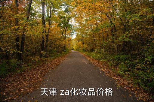 天津 za化妆品价格