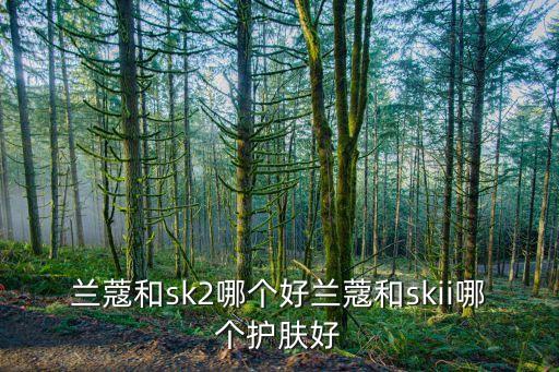 兰蔻和sk2哪个好兰蔻和skii哪个护肤好