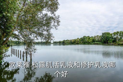  欧莱雅 松露肌活乳液和修护乳液哪个好