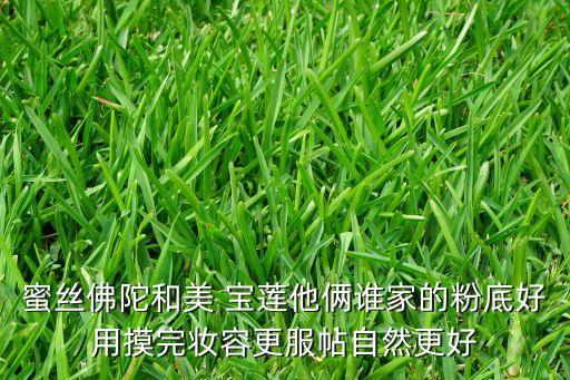 蜜丝佛陀和美 宝莲他俩谁家的粉底好用摸完妆容更服帖自然更好