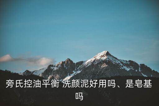 海藻洗颜泥有什么品牌