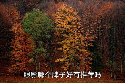 眼影哪个牌子好有推荐吗