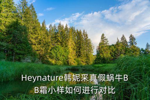 Heynature韩妮采真假蜗牛BB霜小样如何进行对比