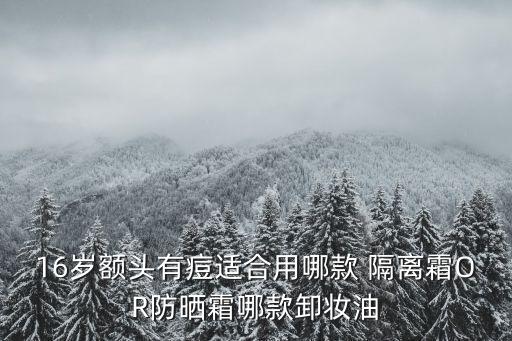 16岁额头有痘适合用哪款 隔离霜OR防晒霜哪款卸妆油