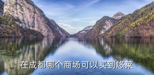 在成都哪个商场可以买到悠莱
