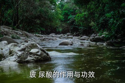 玻 尿酸的作用与功效