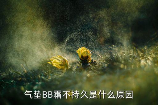 气垫BB霜不持久是什么原因