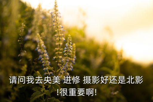 请问我去央美 进修 摄影好还是北影!很重要啊!
