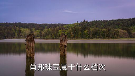 萧邦哪里的品牌,萧邦品牌大使和代言人
