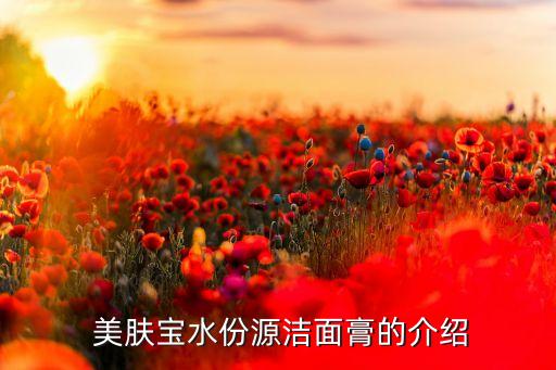  美肤宝水份源洁面膏的介绍