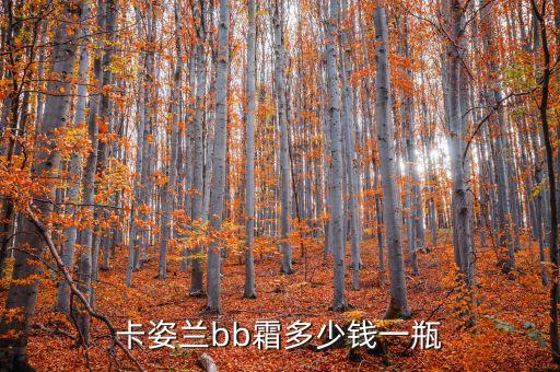 魔法医生的cc霜多少钱,气垫cc霜价格多少钱?