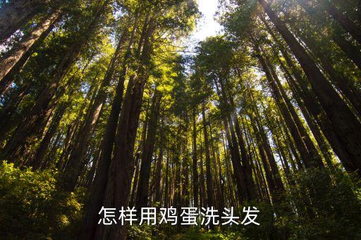 怎样用鸡蛋洗头发