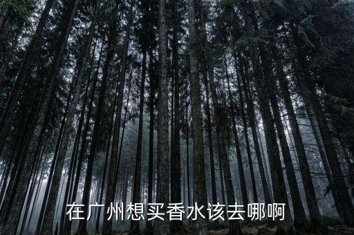 在广州想买香水该去哪啊