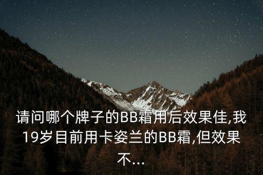请问哪个牌子的BB霜用后效果佳,我19岁目前用卡姿兰的BB霜,但效果不...