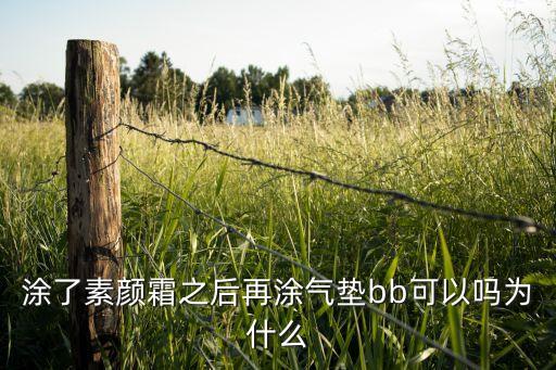 用素颜霜后如何化妆品,素颜霜是化妆品吗?需要卸妆吗