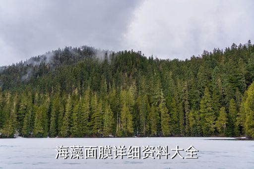 海藻面膜详细资料大全