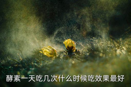 酵素一天吃几次什么时候吃效果最好