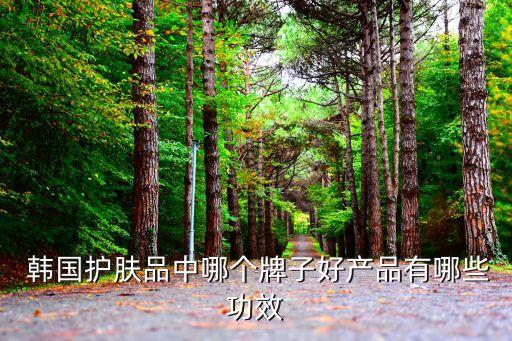 韩国护肤品中哪个牌子好产品有哪些功效