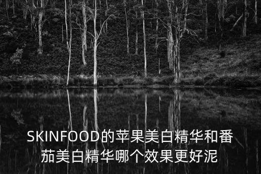 SKINFOOD的苹果美白精华和番茄美白精华哪个效果更好泥