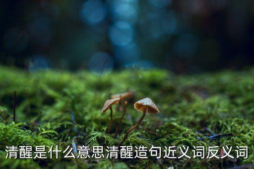 醒体是什么意思是什么,你说的轻是什么意思？