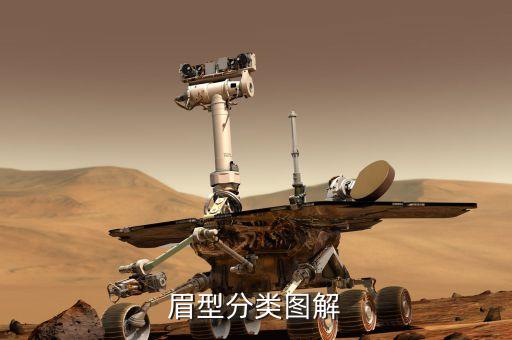 眉型分类图解