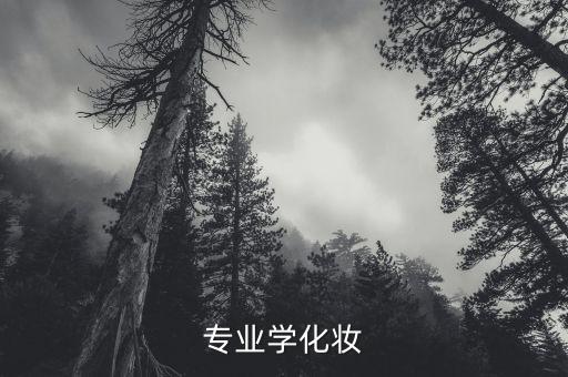 专业学化妆
